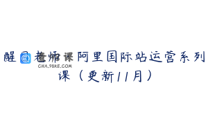 醒目老师·阿里国际站运营系列课（更新11月）