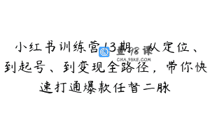 小红书训练营13期，从定位、到起号、到变现全路径，带你快速打通爆款任督二脉
