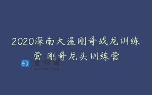 2020深南大盗刚哥战龙训练营 刚哥龙头训练营