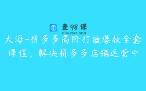 大海-拼多多高阶打造爆款全套课程，解决拼多多店铺运营中