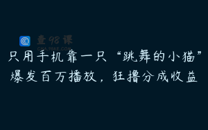 只用手机靠一只“跳舞的小猫”爆发百万播放，狂撸分成收益