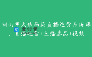 钏山甲大狼高级直播运营系统课，直播运营+主播选品+视频