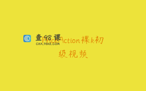 PriceAction裸k初级视频