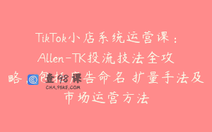TikTok小店系统运营课：Allen-TK投流技法全攻略，包括广告命名 扩量手法及市场运营方法