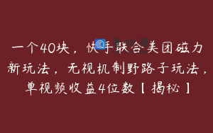 一个40块，快手联合美团磁力新玩法，无视机制野路子玩法，单视频收益4位数【揭秘】