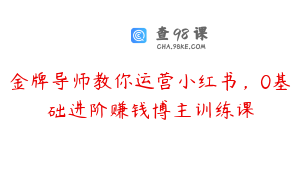 金牌导师教你运营小红书，0基础进阶赚钱博主训练课