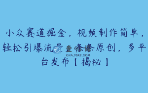 小众赛道掘金，视频制作简单，轻松引爆流量，条条原创，多平台发布【揭秘】
