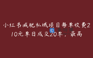小红书减肥私域项目每单收费210元单日成交20单，最高