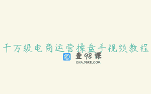 千万级电商运营操盘手视频教程