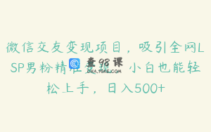 微信交友变现项目，吸引全网LSP男粉精准变现，小白也能轻松上手，日入500+