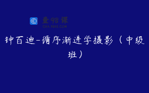 钟百迪-循序渐进学摄影（中级班）