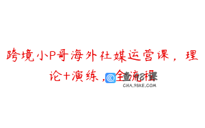 跨境小P哥海外社媒运营课，理论+演练，全流程