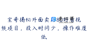 宝哥揭秘外面卖1980好看视频项目，投入时间少，操作难度低