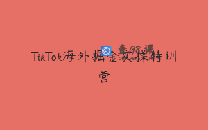 TikTok海外掘金实操特训营