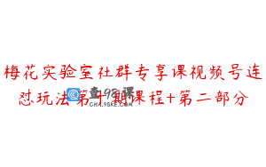 梅花实验室社群专享课视频号连怼玩法第十期课程+第二部分