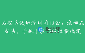 力安总裁班深圳闭门会：浪潮式发售，手把手教你做批量搞定