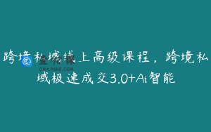 跨境私域线上高级课程，跨境私域极速成交3.0+Ai智能