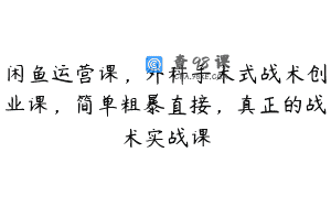 闲鱼运营课，外科手术式战术创业课，简单粗暴直接，真正的战术实战课