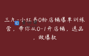 三九-小红书0粉店铺爆单训练营，带你从0-1开店铺，选品，做爆款
