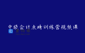 中级会计点睛训练营视频课