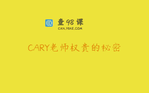 CARY老师权贵的秘密