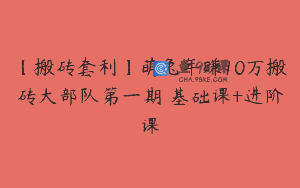 【搬砖套利】萌兔年赚10万搬砖大部队第一期 基础课+进阶课