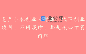 老严小本创业三部曲，线下创业项目，不讲废话，都是核心干货内容