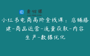 小红书电商高阶全栈课：店铺搭建-商品运营-流量获取-内容生产-数据优化