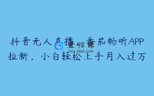 抖音无人直播，番茄畅听APP拉新，小白轻松上手月入过万