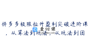 拼多多极限拉升盈利突破进阶课，从算法到玩法，从玩法到团