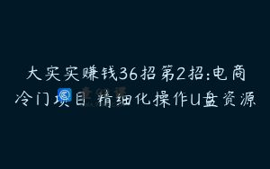大实实赚钱36招第2招:电商冷门项目 精细化操作U盘资源