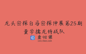 龙头密探白马密探仲展第25期 量学擒龙特战队