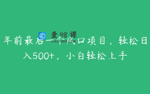 年前最后一个风口项目，轻松日入500+，小白轻松上手