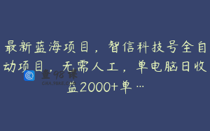 最新蓝海项目，智信科技号全自动项目，无需人工，单电脑日收益2000+单…