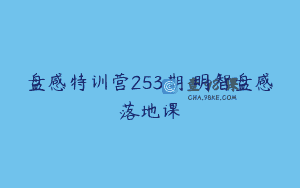 盘感特训营253期 明智盘感落地课