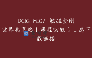 DCIG-FL07-触碰金刚世界北京站【课程回放】_总下载链接