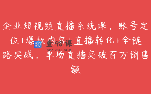 企业短视频直播系统课，账号定位+爆款内容+直播转化+全链路实战，单场直播突破百万销售额