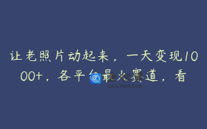 让老照片动起来，一天变现1000+，各平台最火赛道，看