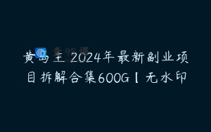 黄岛主・2024年最新副业项目拆解合集600G【无水印