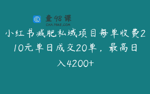 小红书减肥私域项目每单收费210元单日成交20单，最高日入4200+
