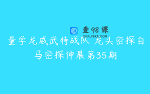 量学龙威武特战队 龙头密探白马密探仲展第35期