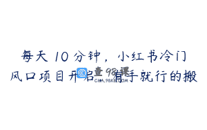 每天 10 分钟，小红书冷门风口项目开启，有手就行的搬