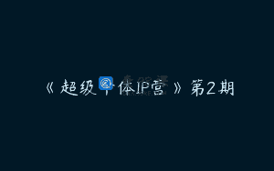 《超级个体IP营》第2期