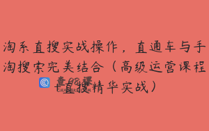 淘系直搜实战操作，直通车与手淘搜索完美结合（高级运营课程+直搜精华实战）