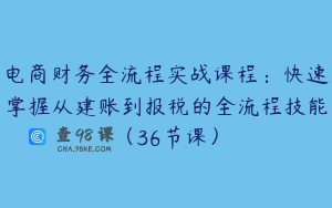 电商财务全流程实战课程：快速掌握从建账到报税的全流程技能（36节课）