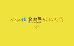Shopee卖家新手孵化火箭班