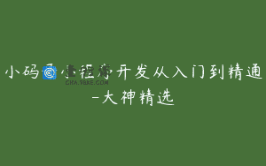 小码哥小程序开发从入门到精通-大神精选