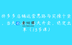 拼多多店铺运营思路与实操干货,当天入驻,当天开卖,稳定出单(13节课)