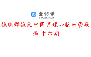 魏晓辉魏氏中医调理心脑血管疾病 十六期