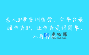 素人IP带货训练营，全平台最强带货IP，让带货变得简单、不再神秘